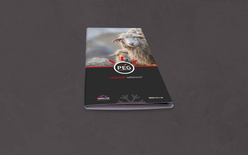 Rezow - Commercialiser un nouveau produit technologique lors d'un salon professionnel 8