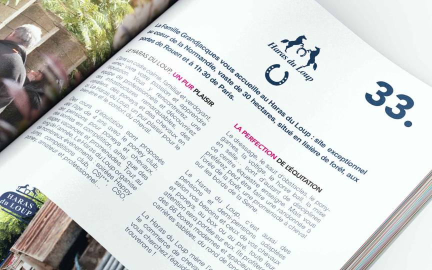 Rezow - Construire et piloter une stratégie média adaptée 2