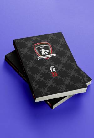 Etablir un levier de création de valeur pour un club sportif : l’annuaire, un aspect marketing innovant