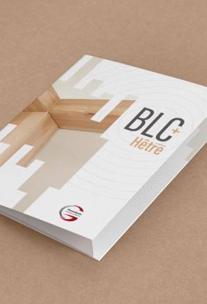 Aller à l'essentiel en annonçant de façon distincte la création d'un nouveau produit innovant : le Lamellé-Collé de Hêtre